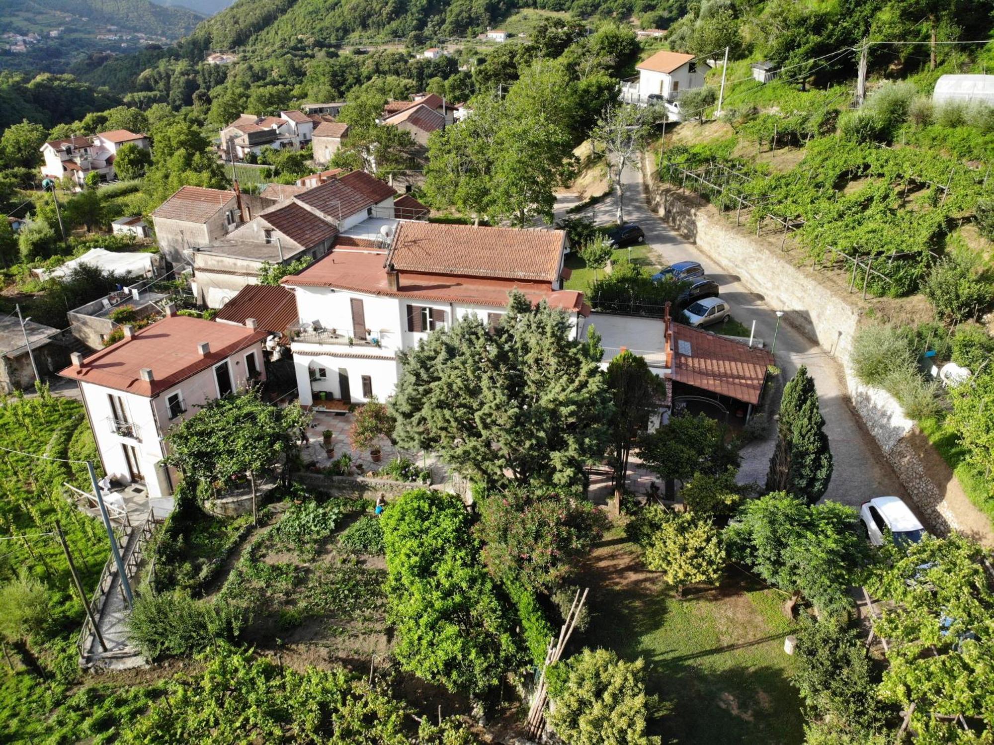 Agriturismo Mare E Monti Tramonti Exterior photo