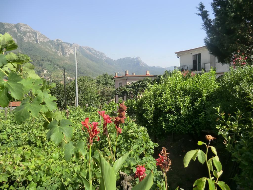 Agriturismo Mare E Monti Tramonti Exterior photo
