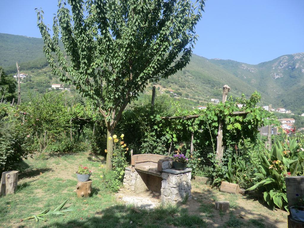 Agriturismo Mare E Monti Tramonti Exterior photo